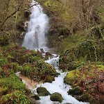 Quinta Da Riba Ma Gospodarstwo wiejskie Santa Leocadia (Braga)