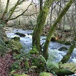 Quinta Da Riba Ma