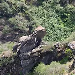 乡村民宿 Quinta Da Riba Ma *