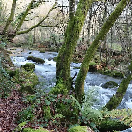 Quinta Da Riba Ma