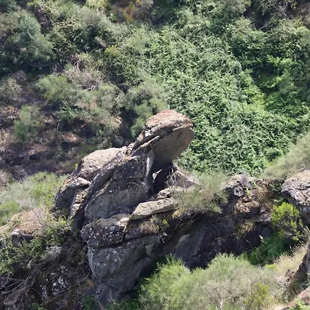 Kır Evi Quinta Da Riba Ma *