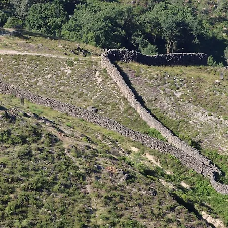 Landsted Quinta Da Riba Ma *