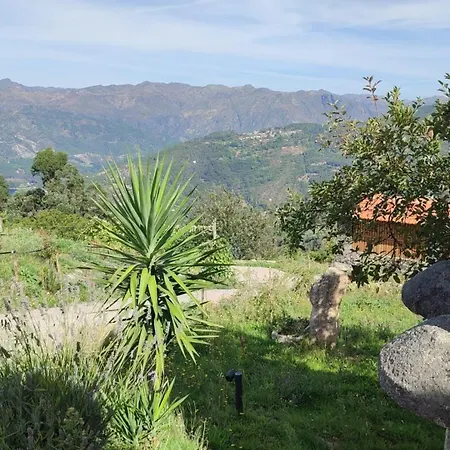 Quinta Da Riba Ma Santa Leocadia (Braga)