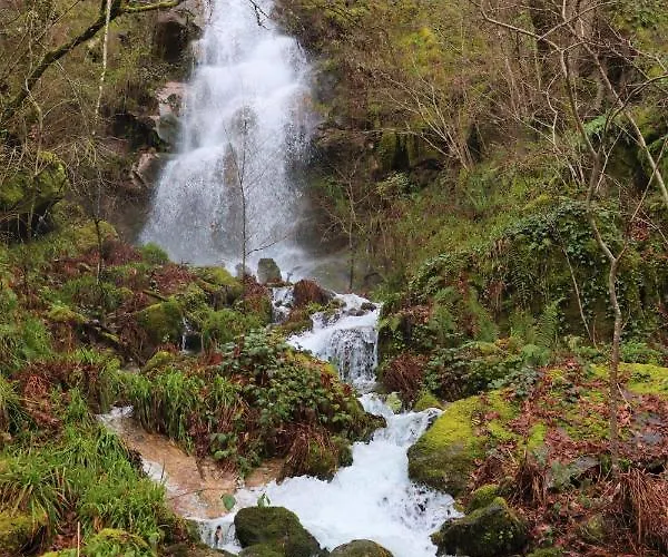Quinta Da Riba Ma Séjour à la campagne Santa Leocadia (Braga)