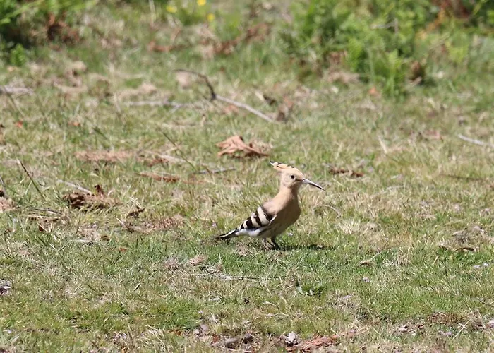 Quinta Da Riba Ma 컨트리하우스 *