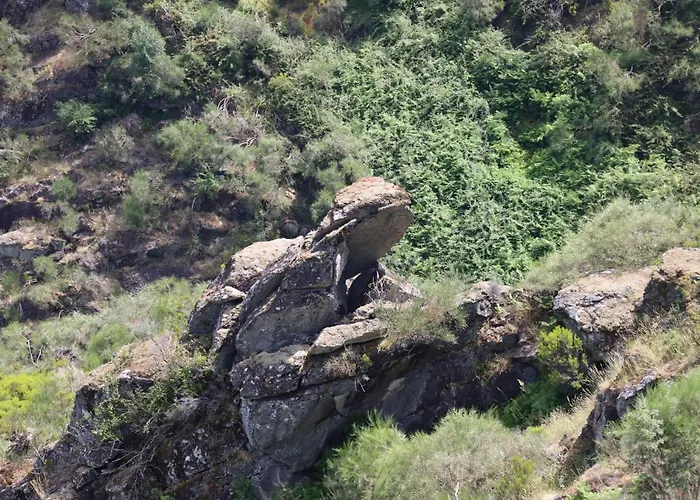 Séjour à la campagne Quinta Da Riba Ma *